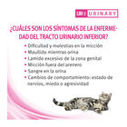 Purina Pro Plan Veterinary Diets Feline UR Salmón  x 85 g, , large image number null