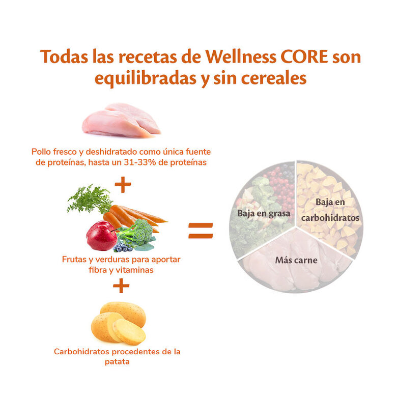 Wellness Core Puppy Small/Medium Pollo y Pavo pienso para perros, , large image number null