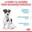 8 kg Royal Canin Starter MotheryBaby Mini pienso para perros, , large indicador imagen numero 5