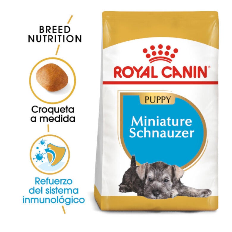 Royal Canin Puppy Miniature Schnauzer pienso para perros thumbnail