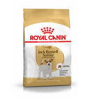 Royal Canin Adult Jack Russell Terrier pienso para perros, , large image number null