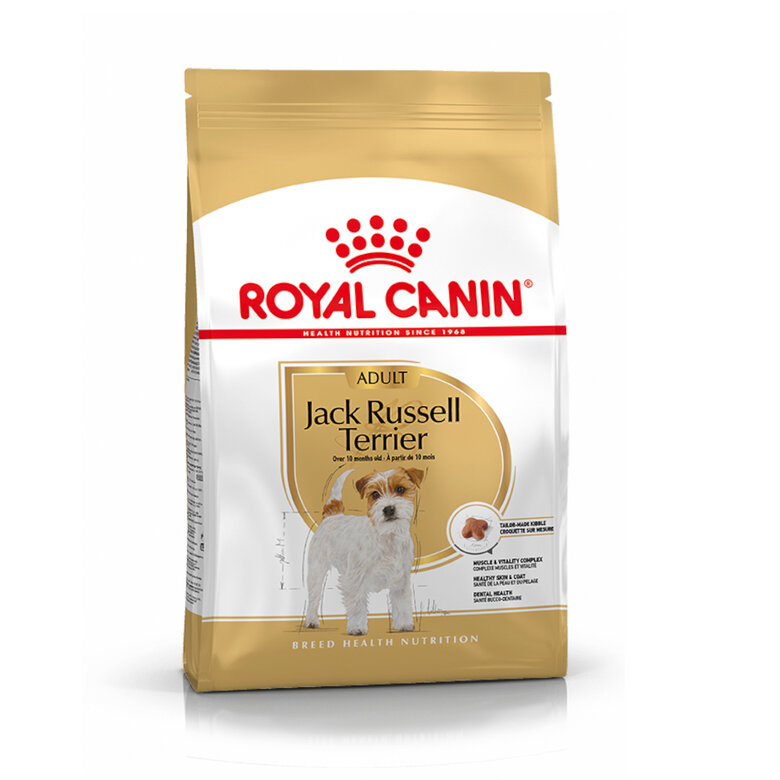 Royal Canin Adult Jack Russell Terrier pienso para perros, , large image number null