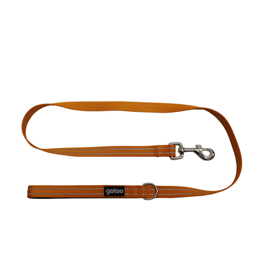 Gotoo Correa de nylon reflectante naranja para perros