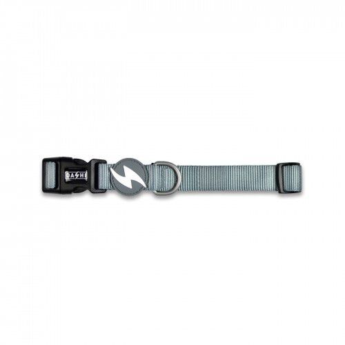 Collar peque&ntilde;o para perro color Gris, , large Imagen numero 1