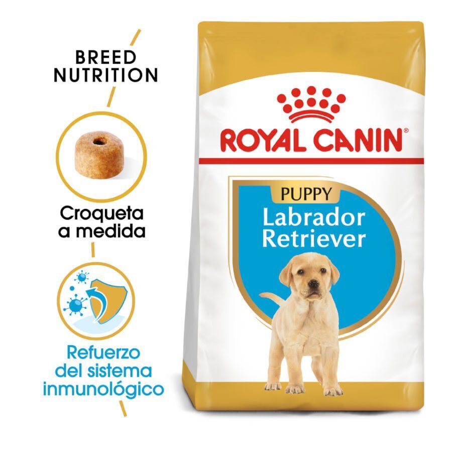 Royal Canin Puppy Labrador Retriever pienso para perros thumbnail