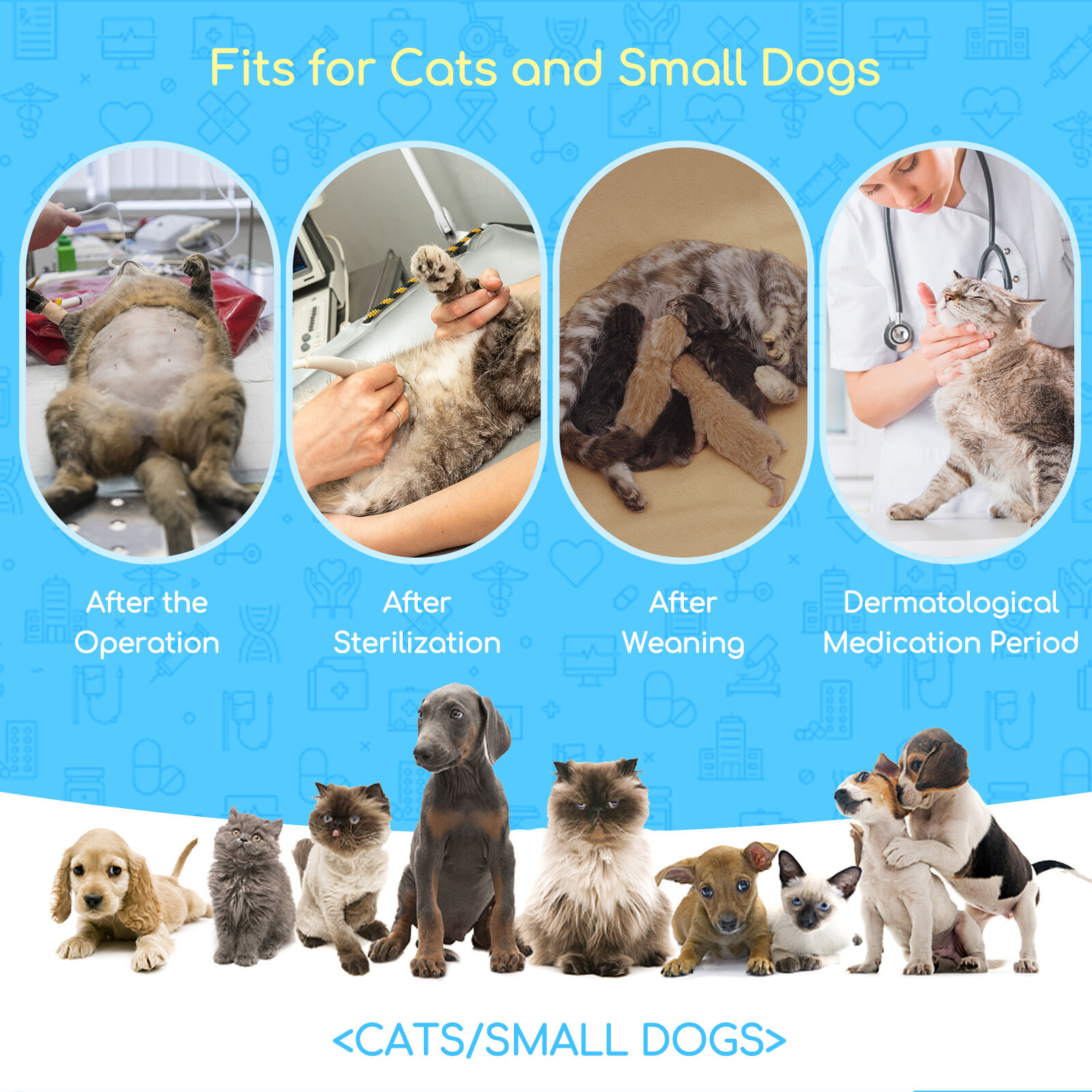 Nobleza - Chaleco de recuperaci&oacute;n para Perros y Gatos, Traje de Recuperaci&oacute;n Despu&eacute;s de la Cirug&iacute;a, Protector de heridas Abdominales, Recuperaci&oacute;n Transpirable, para Gato y perros peque&ntilde;os (Blue, M), , large Imagen numero 5