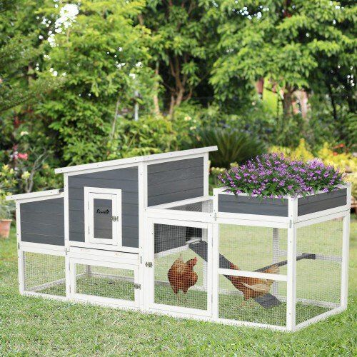 PawHut gallinero exterior de madera con jaula para 2 gallinas, , large Imagen numero 2