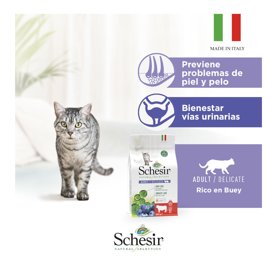 1.4 kg Schesir Adult Natural Selection Buey pienso para gatos, , large Imagen numero 5
