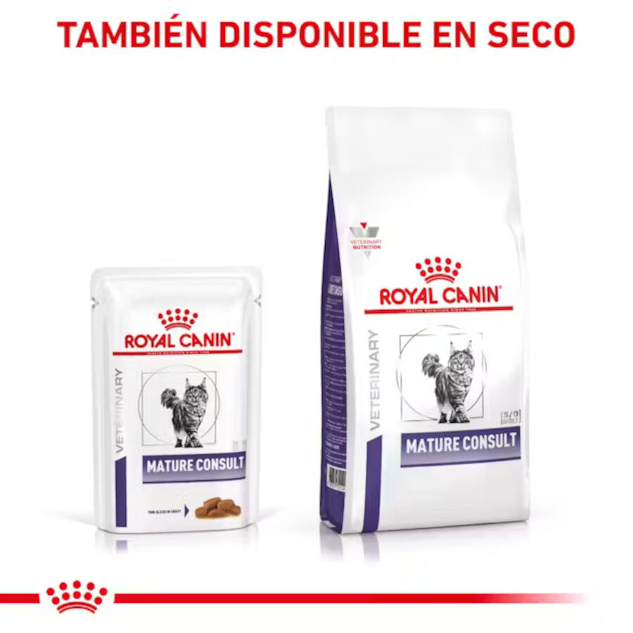 12 sobres x 85 g Royal Canin Mature Consult L&aacute;minas en Salsa Sobre para gatos, , large Imagen numero 5