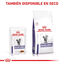 12 sobres x 85 g Royal Canin Mature Consult Láminas en Salsa Sobre para gatos, , large indicador imagen numero 5