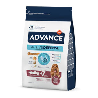 Advance Medium Senior +7 Active Defense Pollo y Arroz pienso para perros