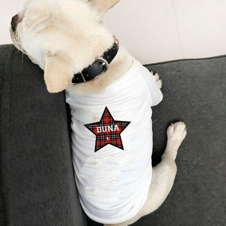 Camiseta para perro con estrella personalizable blanca, , large image number null