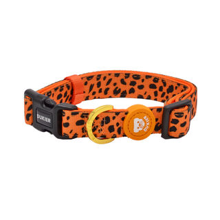 Dukier Cheetah Gold collar para perros