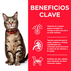 Hill's Adult Science Plan Pescado sobre para gatos , , large image number null