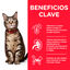 85 g Hill's Science Plan Adult Pescado sobre para gatos, , large indicador imagen numero 2