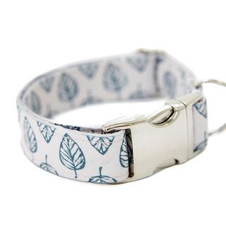 Pets & Props Lil Leaf Collar normal para perros