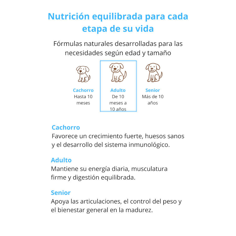 Fillip Mango Pienso Salm&oacute;n y Arroz para perros adultos, , large Imagen numero 4