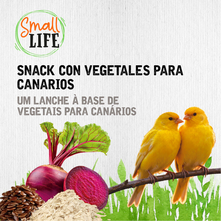 2 barritas Small Life Barritas Snack con Vegetales para canarios, , large Imagen numero 4