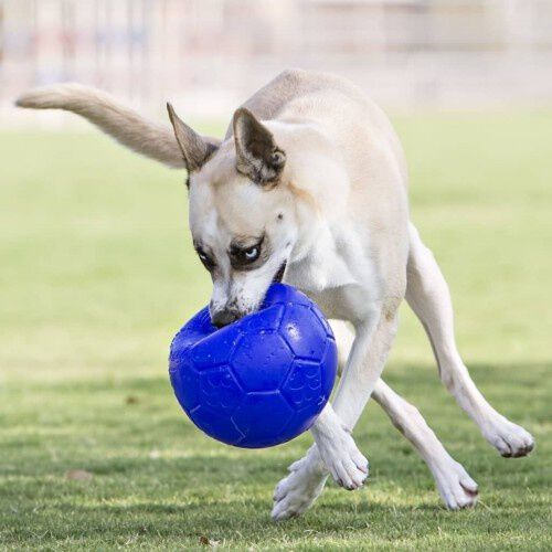 Pelota de goma para perros color Azul, , large Imagen numero 2