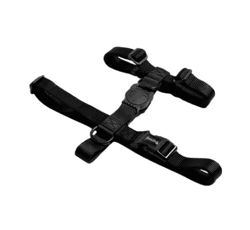 Arn&eacute;s Zee.dog GOTHAM H XS, , large Imagen numero 2