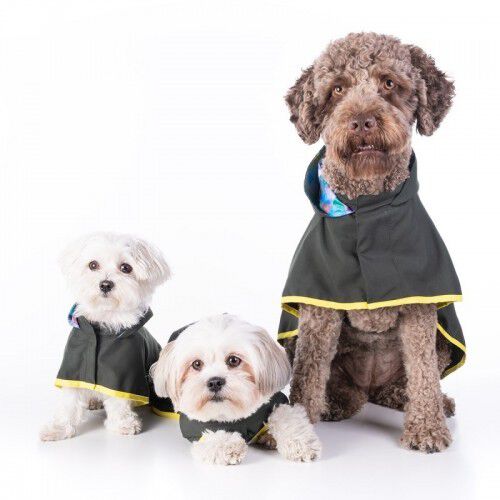 Capa de lluvia Groc Groc para perros color Verde Oscuro, , large Imagen numero 1