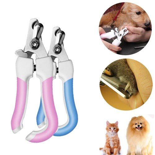 Cortau&ntilde;as para mascotas color Rosa, , large Imagen numero 5