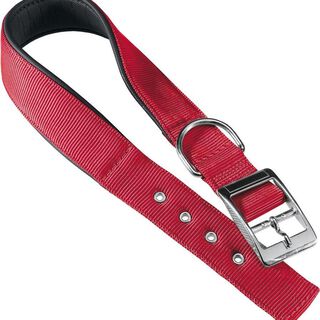 Ferplast Daytona C20 collar nylon rojo para perros 