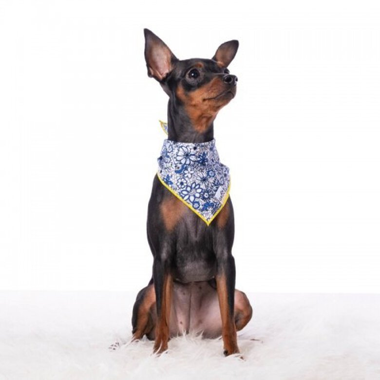 Bandana para perros estampado flores color Azul, , large image number null