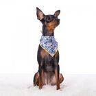 Bandana para perros estampado flores color Azul, , large image number null