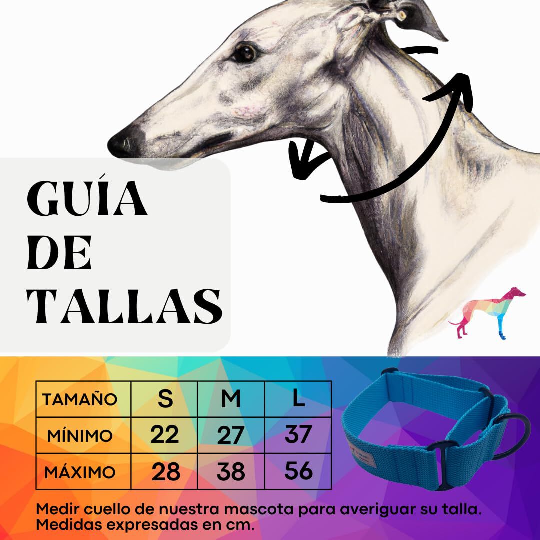 EGV - Collar Martingale. Collar galgo hecho a mano en Espa&ntilde;a (Azul), , large Imagen numero 3