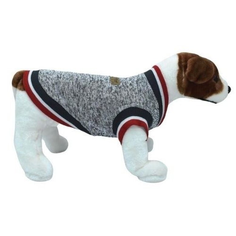 Loyal jersey Nafees gris para perros, , large image number null
