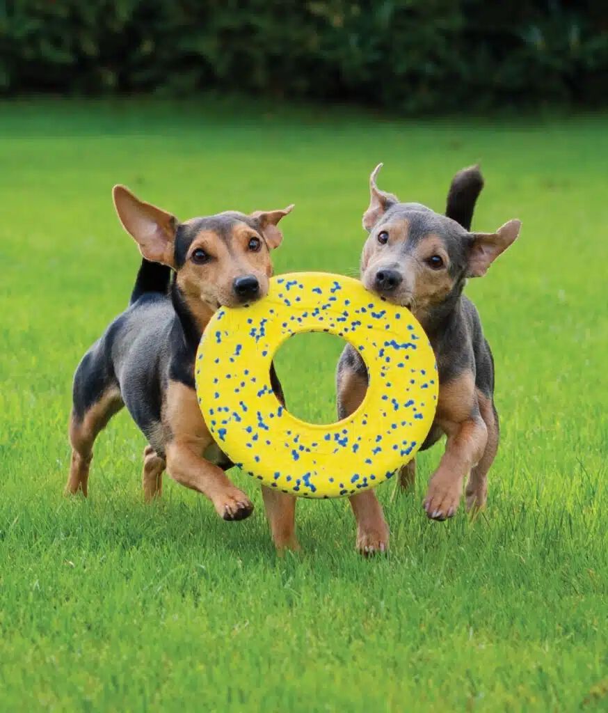 Zeus Nitro&trade; Disco Volador, &Oslash;24cm, , large Imagen numero 3