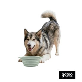Gotoo Bebedero Plegable y Port&aacute;til de Silicona para perros y gatos