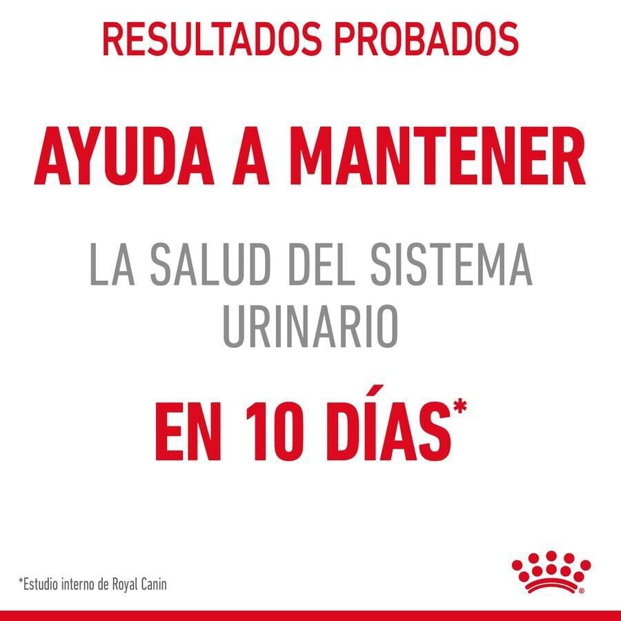 Royal Canin Urinary pienso para gatos thumbnail