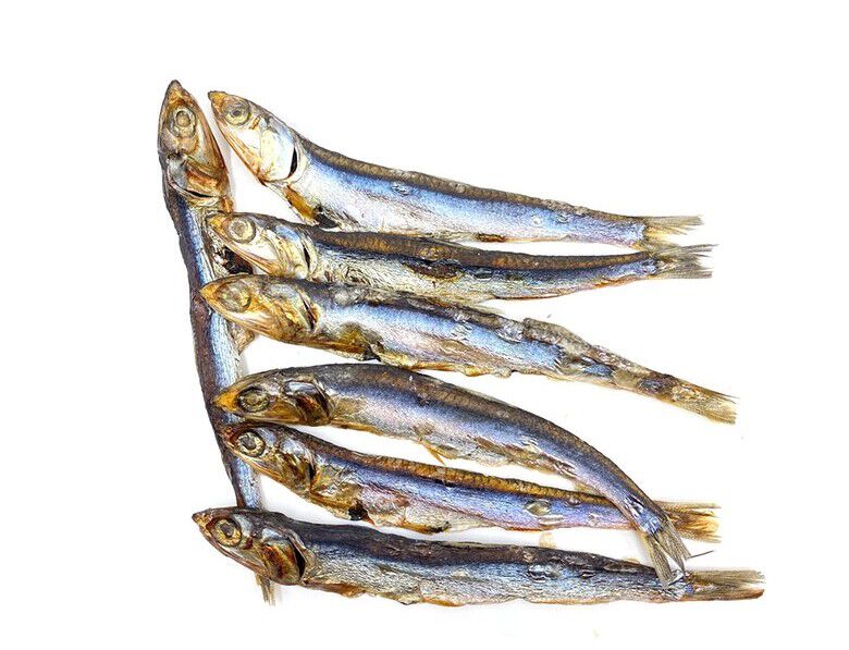 Caja de snacks naturales para perro PETbox, , large Imagen numero 3