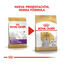 1.5 kg Royal Canin Adult Bichón Maltés pienso para perros, , large indicador imagen numero 3