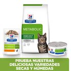 Hill's Prescription Diet Metabolic pienso para gatos, , large image number null