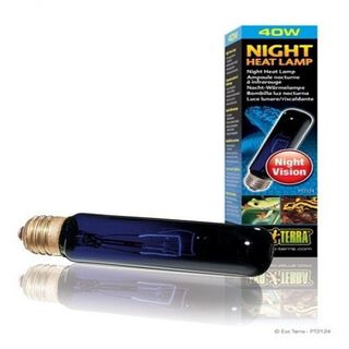 Lámpara incandescente Exo-Terra Night Glo