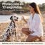 Pack Verano Patas y Sol para perros &middot; Crema Protectora de Almohadillas + Spray Solar SPF 30 &middot; Protecci&oacute;n frente al asfalto caliente y las quemaduras solares &middot; Hecho en Espa&ntilde;a, , large indicador imagen numero 3