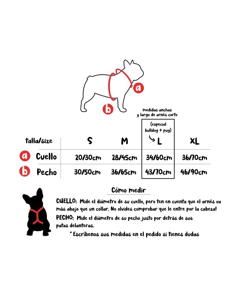 Arn&eacute;s en H BISCUITS, L, , large Imagen numero 2