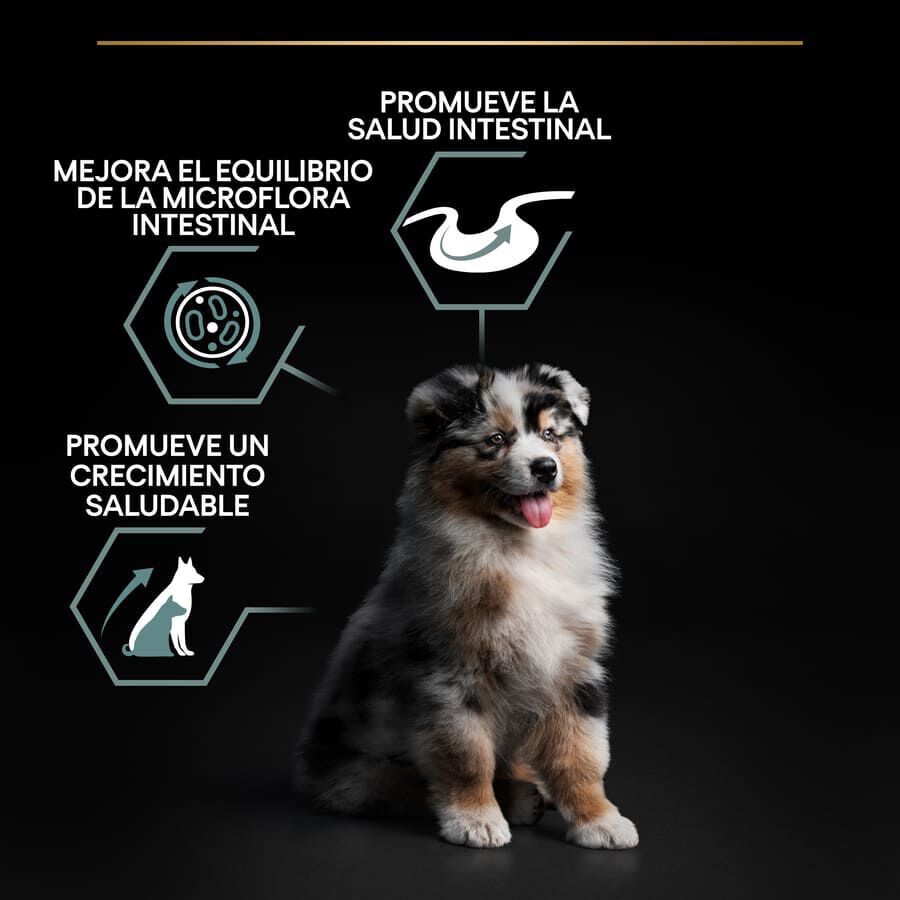12 kg Pro Plan Puppy  Medium Digesti&oacute;n Cordero pienso para perros, , large Imagen numero 3