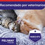 Feliway Friends Difusor para gatos, , large indicador imagen numero 6
