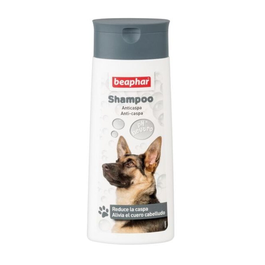 Beaphar Champ&uacute; Anticaspa para perros, , large Imagen numero 1