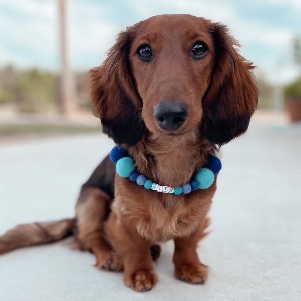 Collar De Perro Personalizado Con Pompones, , large Imagen numero 2