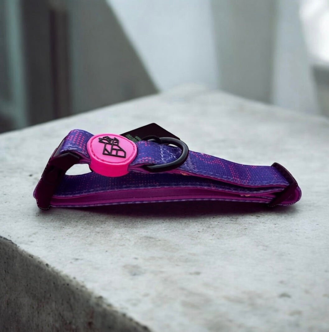 COLLAR FRENCHTOUTOU MORADO, , large Imagen numero 2