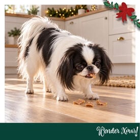 Wonder Christmas Bocados de Pollo Snacks para perros