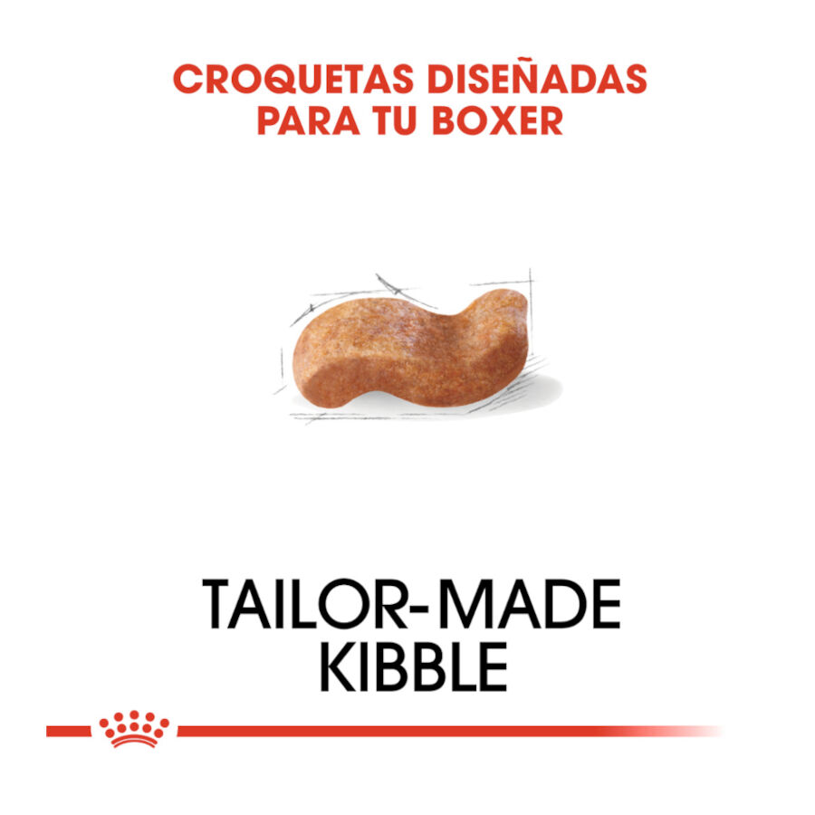 Royal Canin Adult Boxer pienso para perros thumbnail