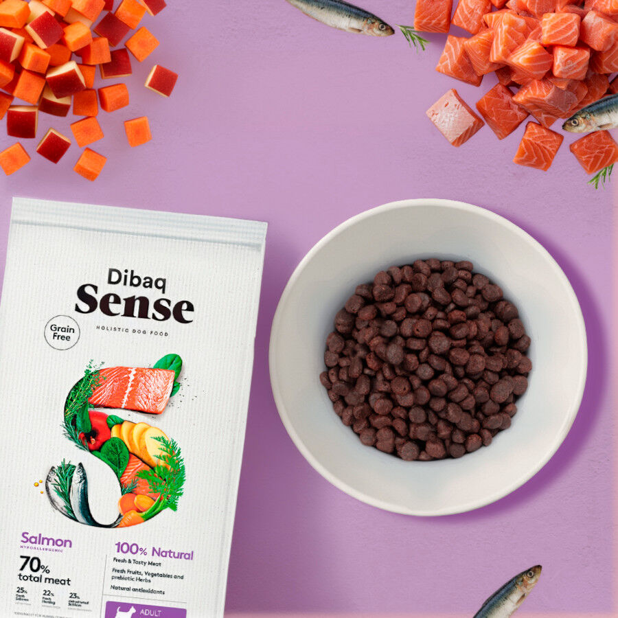 2 Kg Dibaq Sense Pienso Grain Free Salm&oacute;n para perros mini, , large Imagen numero 3