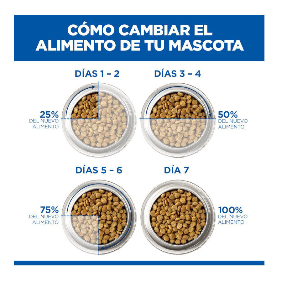 1.5 kg Hill's Science Plan Perfect Weight Adult Small y Mini pienso para perros, , large Imagen numero 6