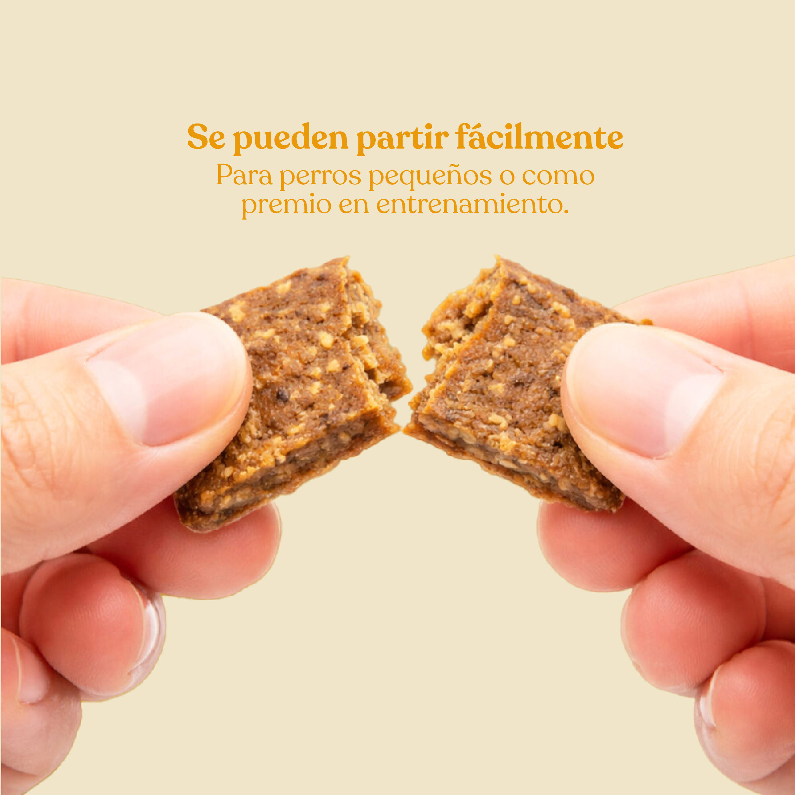 Galletas de Pollo con Br&oacute;coli para Perros dr.bimix | Snack Natural Premium, , large Imagen numero 3